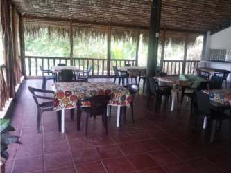 Open-air dining with thatched roof and ocean breeze on Farallón beachfront Panama
