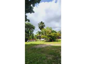 Large garden lawn with mature trees on beachfront hospitality site Farallón Panama