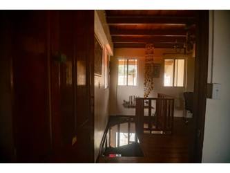 Close-up of white orchid amid tropical foliage in mountain eco-lodge gardens Cerro Azul Panama