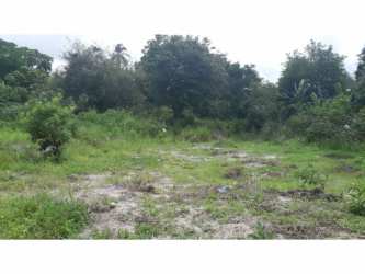 Large flat lot with grassy areas and trees perfect for beach house or development in Playa Corona