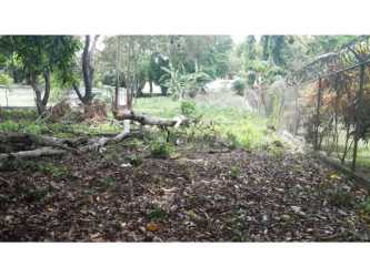 Vacant overgrown land with fence and trees ideal for beach house development