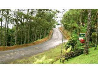 Land for Sale in Alcalde Diaz - 0 bedrooms