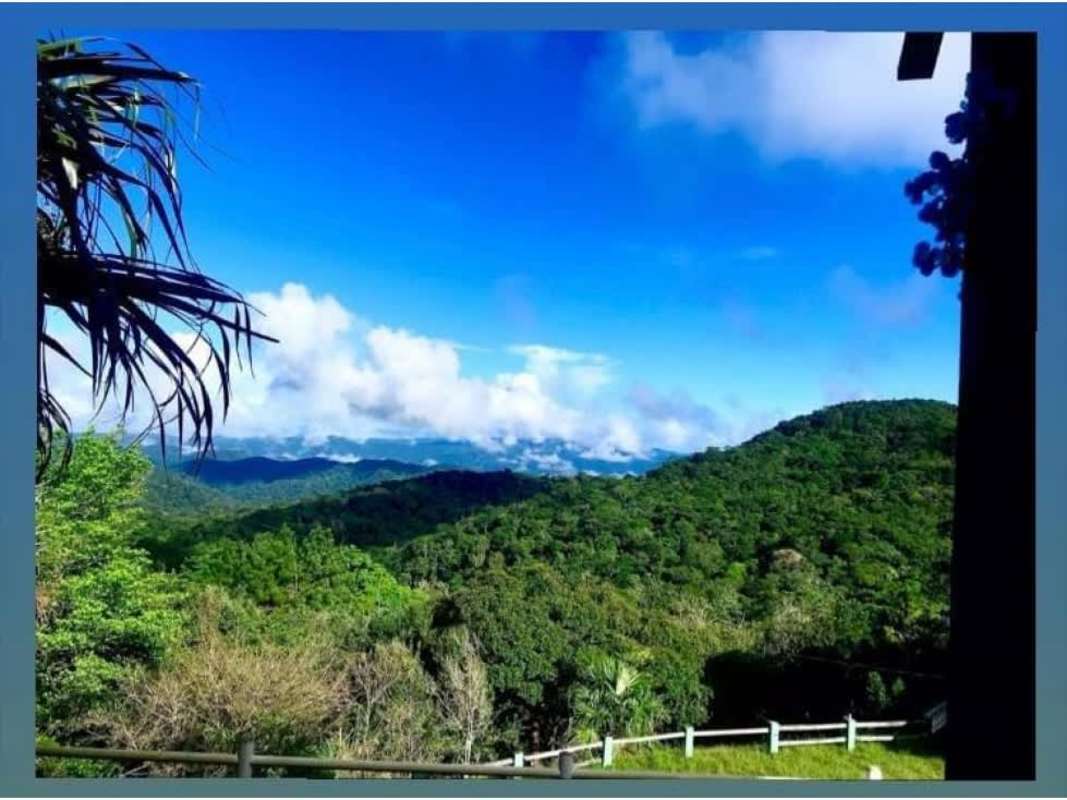 Panoramic view of Cerro Azul forested mountains from the estate's hilltop
