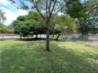 Open yard with greenery and mature shade trees in Coronado Panama