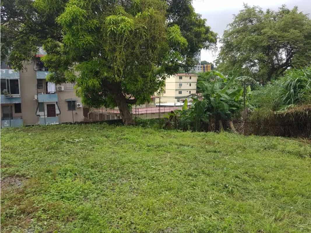 Empty grassy lot with large trees and surrounding neighborhood in Panama City