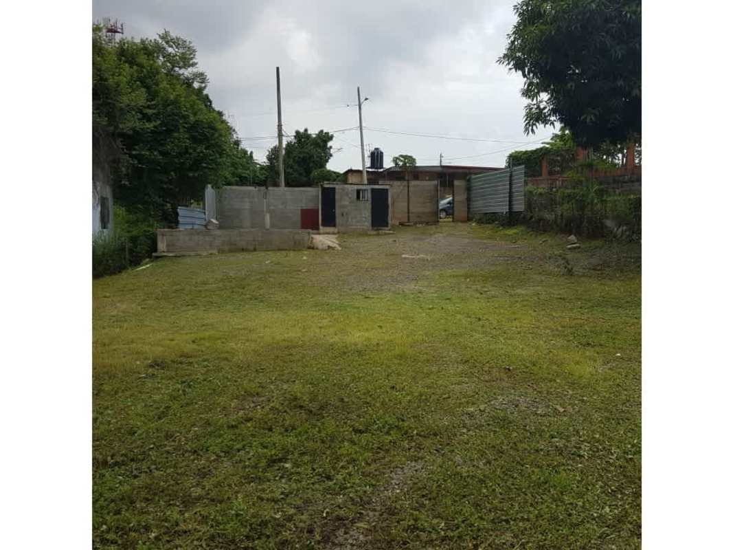 Vacant lot with greenery and adjacent residential area on Avenida La Pulida Panama