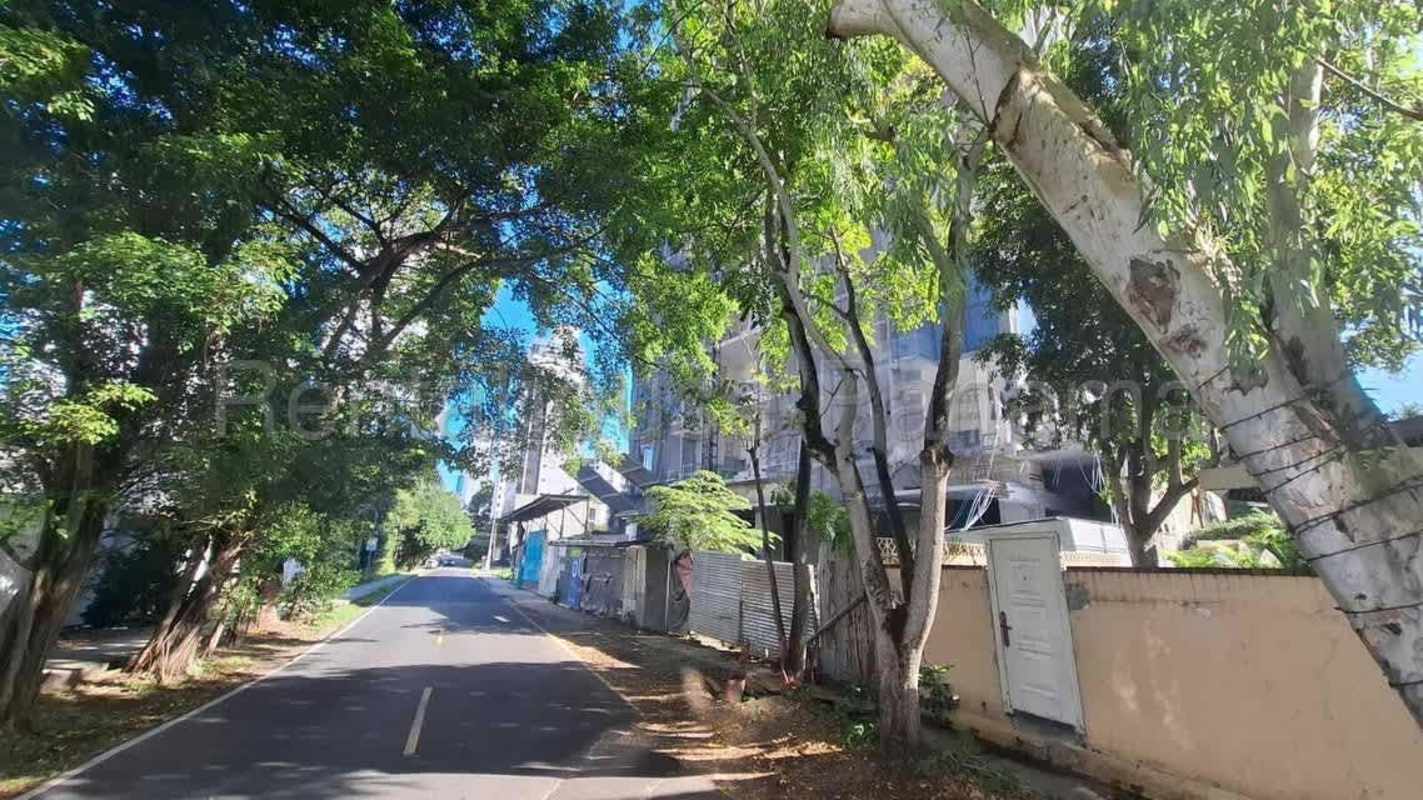 Urban green street with construction fence at PH Dovle Selva Panama City