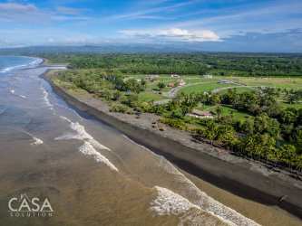 Pristine sandy beach lined with palm trees in Coco Beach community Puerto Armuelles Panama