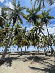 Beachfront residential lot with tropical landscaping and oceanfront in Coco Beach Puerto Armuelles Panama