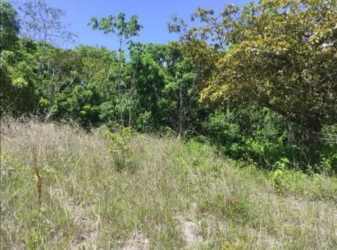 Open land with grass and trees under clear sky in Coclé Panama for sale by Hola Realty