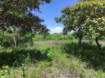 Expansive rural land ready for residential or commercial use in Río Hato Coclé Panama