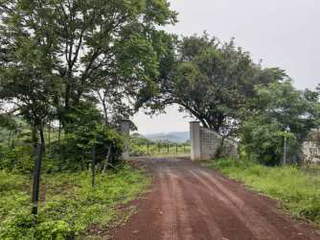 Land for Sale in Las Lajas / Coronado - 0 bedrooms
