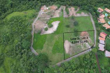 Aerial photo showing cleared lots surrounded by greenery in Las Lajas Panama