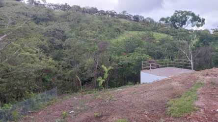 Stream creek area with dense greenery Las Lajas residential Panama
