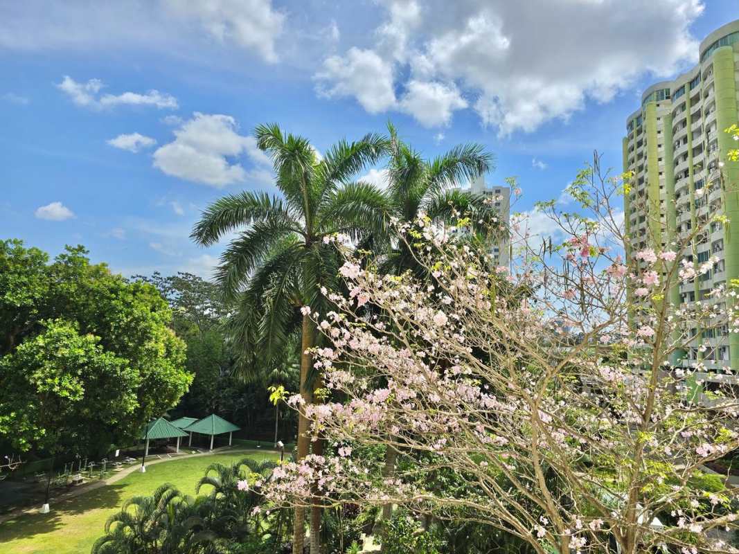 PH Green Park Tower 600 high-rise condo with landscaped gardens in Condado del Rey Panama
