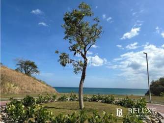 Gigantic saltwater swimming pool at Playa Blanca Resort Rio Hato Panama
