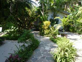 Exterior view of tropical garden with stone pathway at Playa Blanca villa