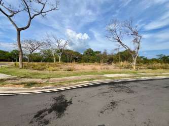 Flat development land surrounded by trees and road in The Woods Buenaventura Panama