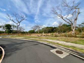 Vacant lot in The Woods Buenaventura Rio Hato with main access road and lush landscaping