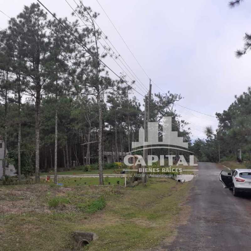 Heavily wooded lot with natural landscaping in mountain area Panama