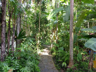 Lush garden landscape with palm trees surrounding Rio Hato beachfront property for sale