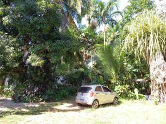 Gated driveway and lush garden entrance to land for sale Río Hato Panama