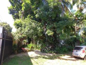 Entrance road with lush greenery leading to Rio Hato beach property for sale