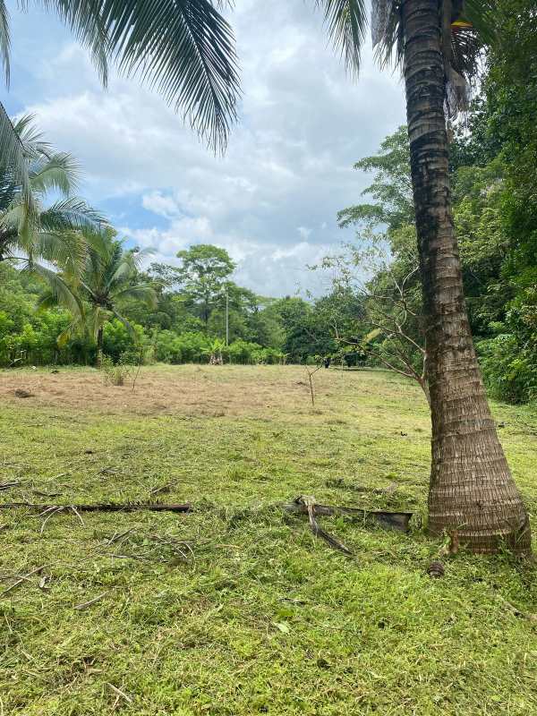 Cleared grassy tropical plot ready for development San Martín Pacora Panama