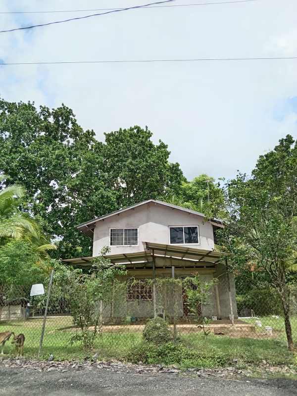 Cleared grassy lot ready for building or farming, surrounded by palm trees and mature vegetation in Pacora San Martín Panama