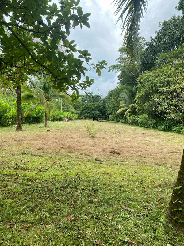 Two-story home with fence surrounded by green land in Pacora San Martín Panama