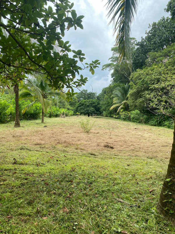 Spacious open grassy land parcel with tropical forest backdrop San Martin Pacora