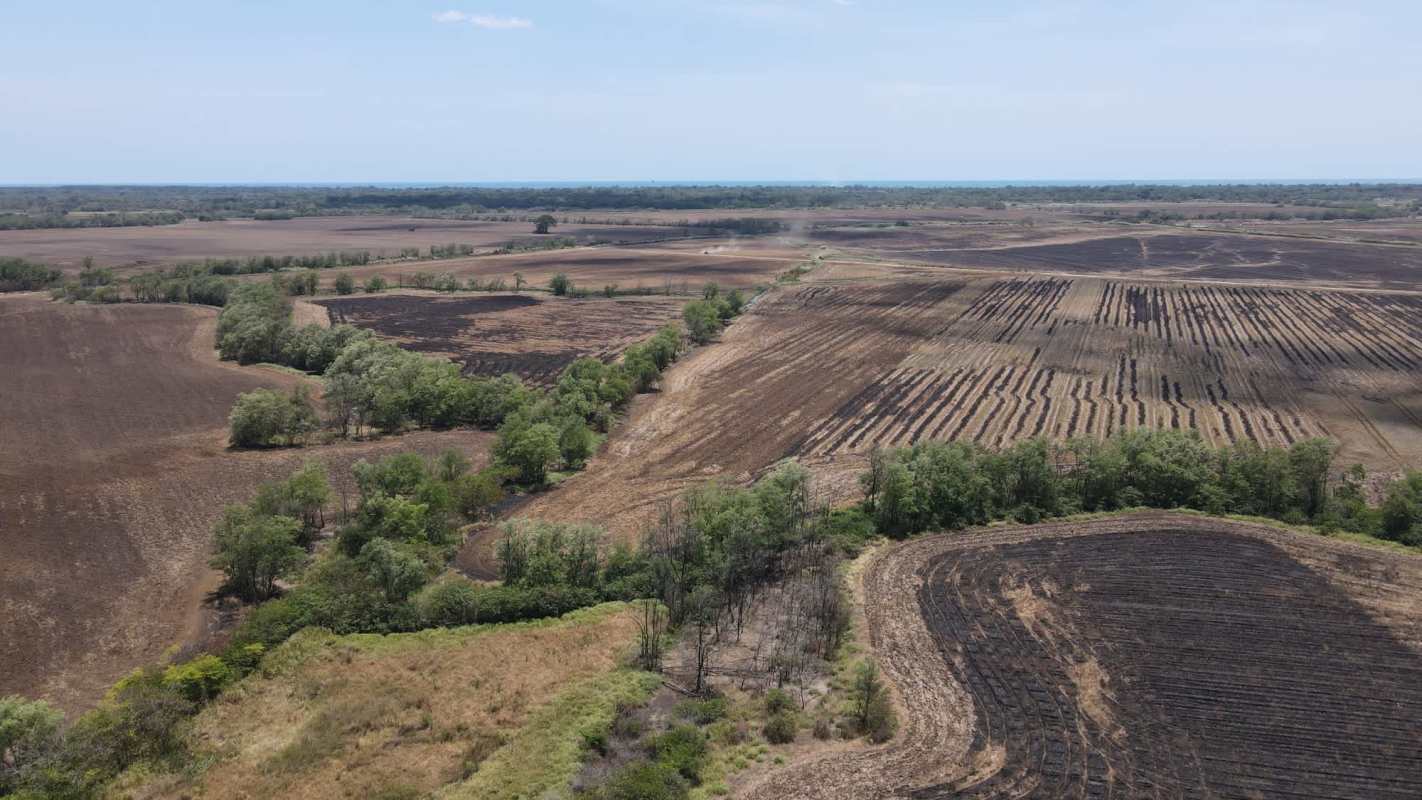 862 ha Farmland Rice & Cattle Investment Pacora Panama