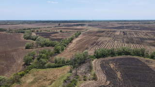 Land for Sale in Pacora - 0 bedrooms