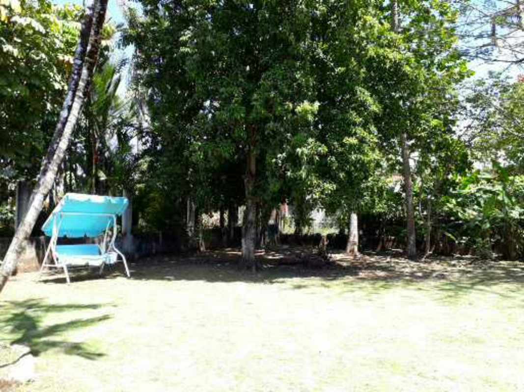 Expansive garden yard with mature trees in residential house Villa Zaita Panama City
