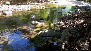 Country House for Sale in Campana - 4 bedrooms