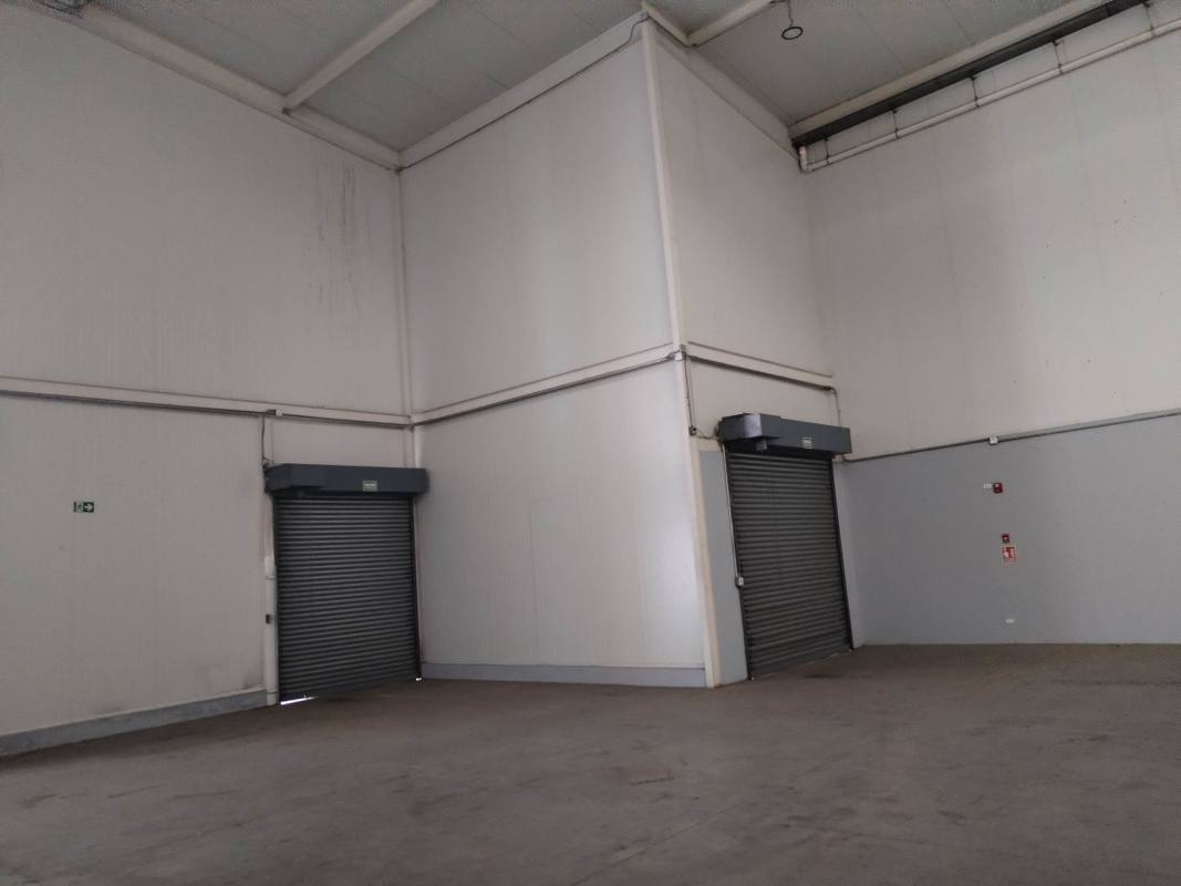 Spacious interior with 10-meter ceilings and skylights at industrial warehouse Tocumen Panama