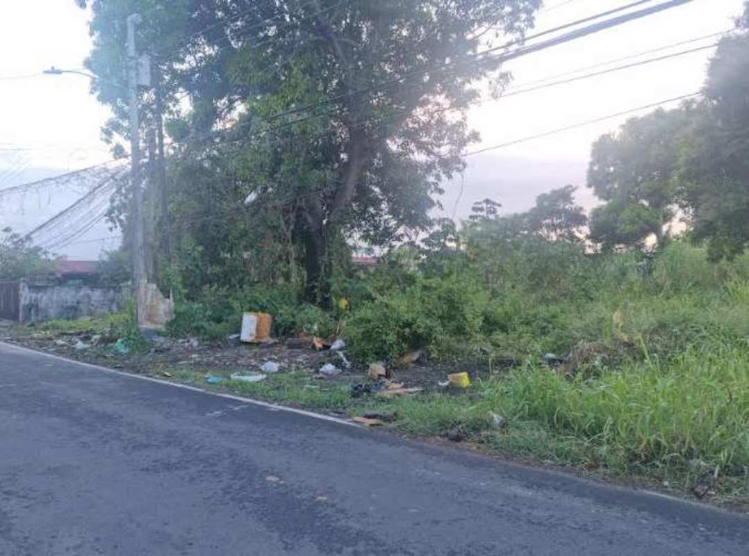 Paved suburban street adjacent to overgrown 600m² vacant lot with large trees and power lines Ciudad Radial Panama City
