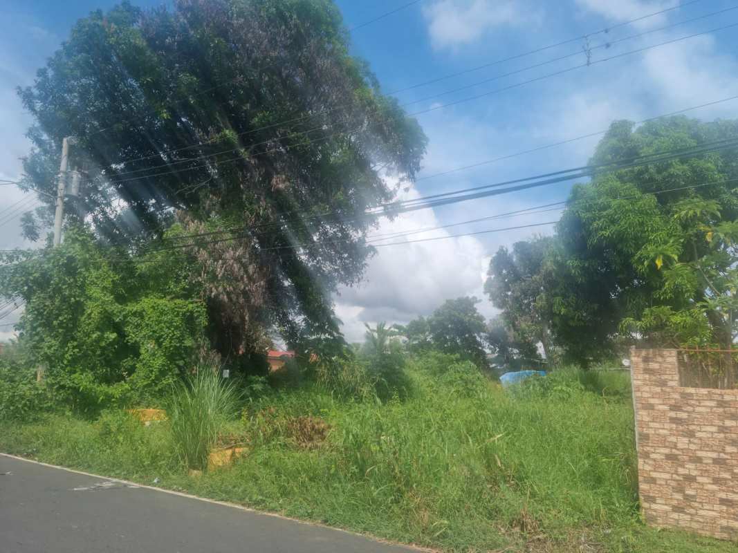 Large vacant overgrown lot with corner road frontage, utility pole, near paved street Ciudad Radial Panama City