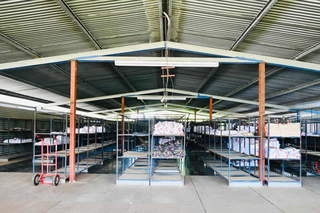 Industrial Warehouse for Rent in Pueblo Nuevo - 0 bedrooms