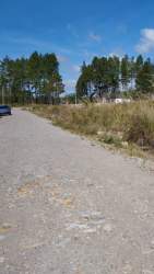 Wide flat grassy land with mountain backdrop and forest Las Trancas Boquete Panama