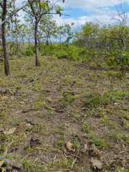 Scenic raw land with river and mountain views in Chiriquí Panama ideal for development