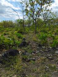 Undeveloped land plot with natural landscape ideal for residential or commercial projects in Dolega near Boquete