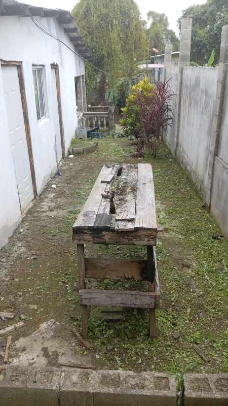 Outdoor backyard with banana and fruit trees on sloped lot in Pedregal Panama