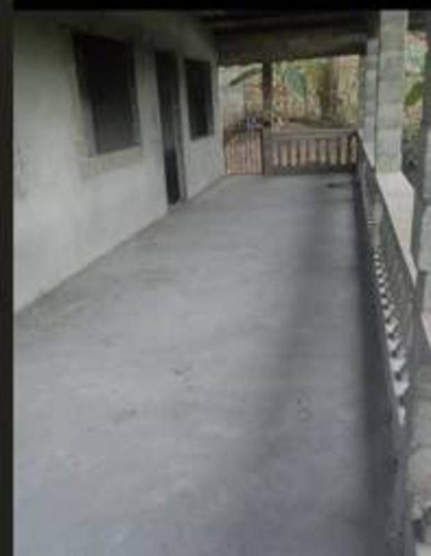 Spacious backyard garden area with banana plants and mature trees in Pedregal Panama