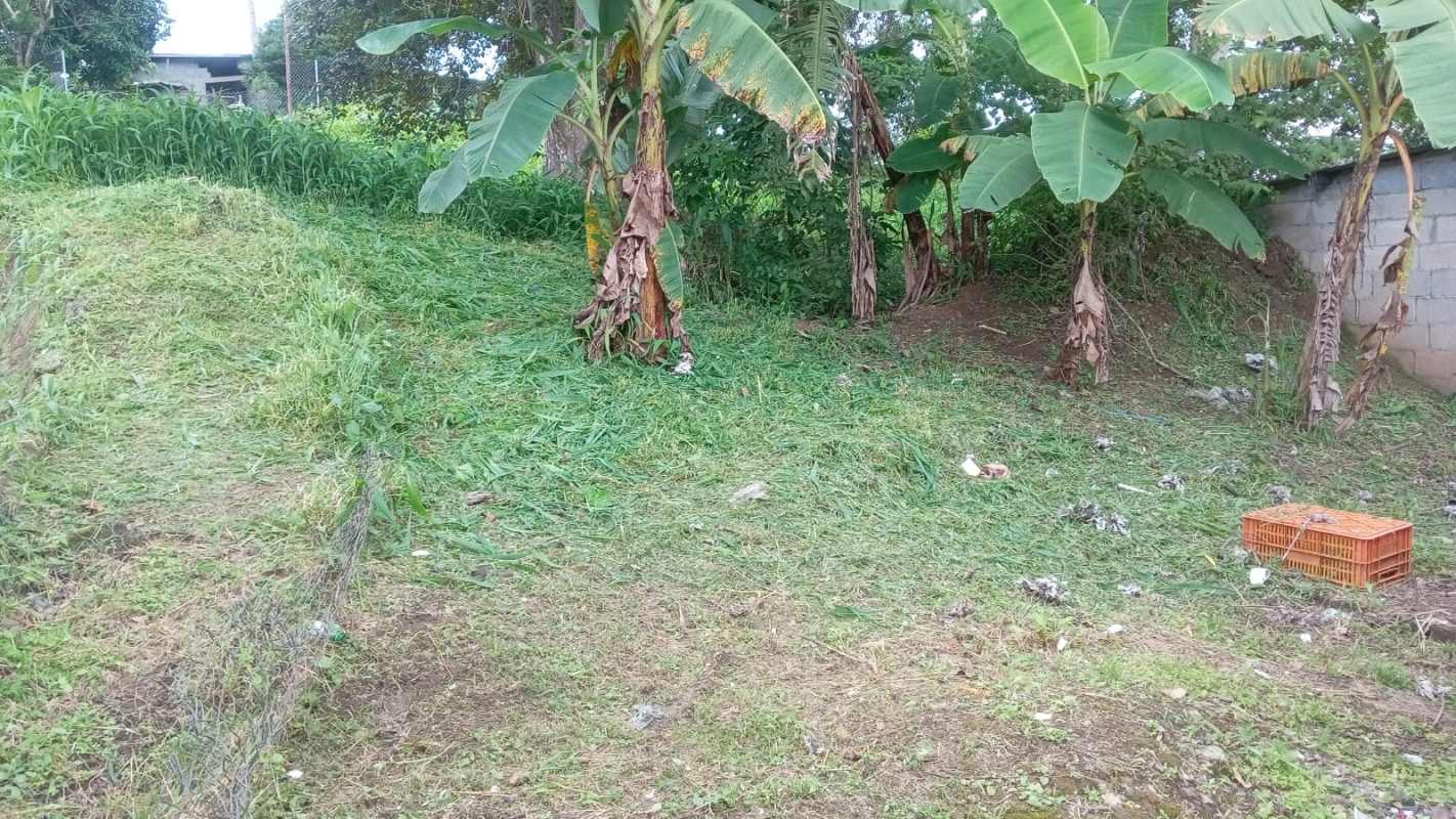 Simple cement house exterior with metal doors, garden ready space Santa Cruz Panama