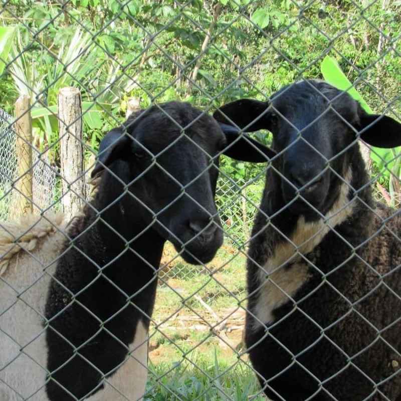 Modern open concept kitchen dining and living area at mountain cabins Panama
