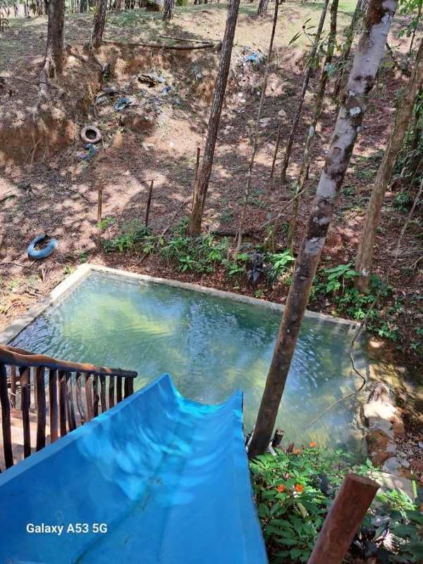 Animal pen with sheep and green foliage at eco-farm Cerro Azul Panama