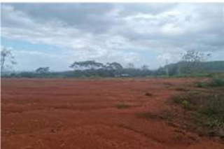 Land for Sale in Las Cumbres - 0 bedrooms