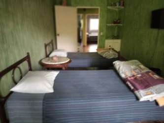 Lush backyard garden with mature palms in Coronado Panama rental home