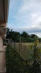 Land for Sale in Las Palmitas / Las Tablas District - 0 bedrooms